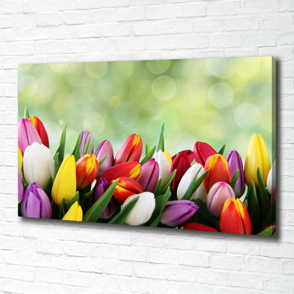 Tableau mural sur toile Tulipes colorées