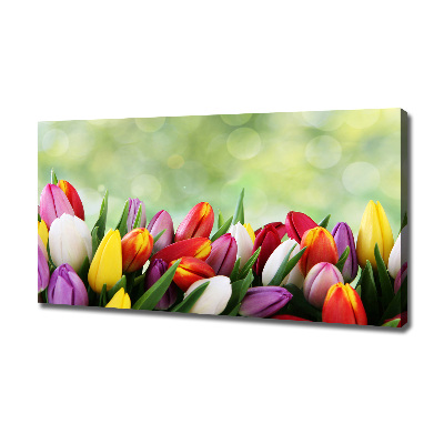 Tableau mural sur toile Tulipes colorées