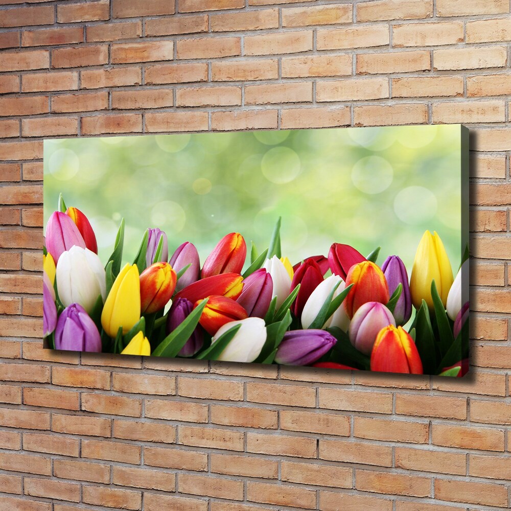 Tableau mural sur toile Tulipes colorées