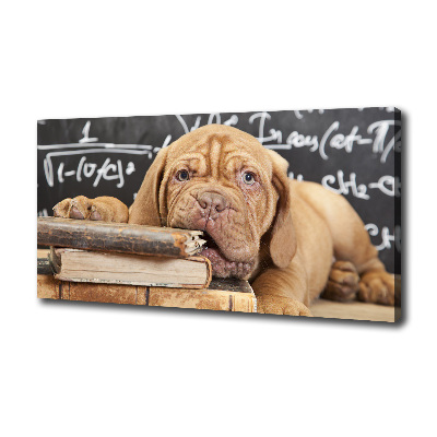 Tableau sur toile Livre sur les morsures de chien