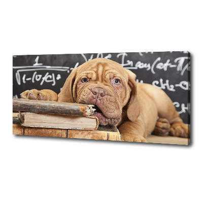 Tableau sur toile Livre sur les morsures de chien