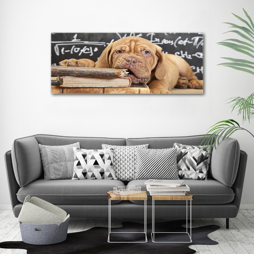 Tableau sur toile Livre sur les morsures de chien