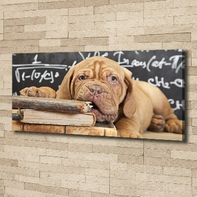 Tableau sur toile Livre sur les morsures de chien