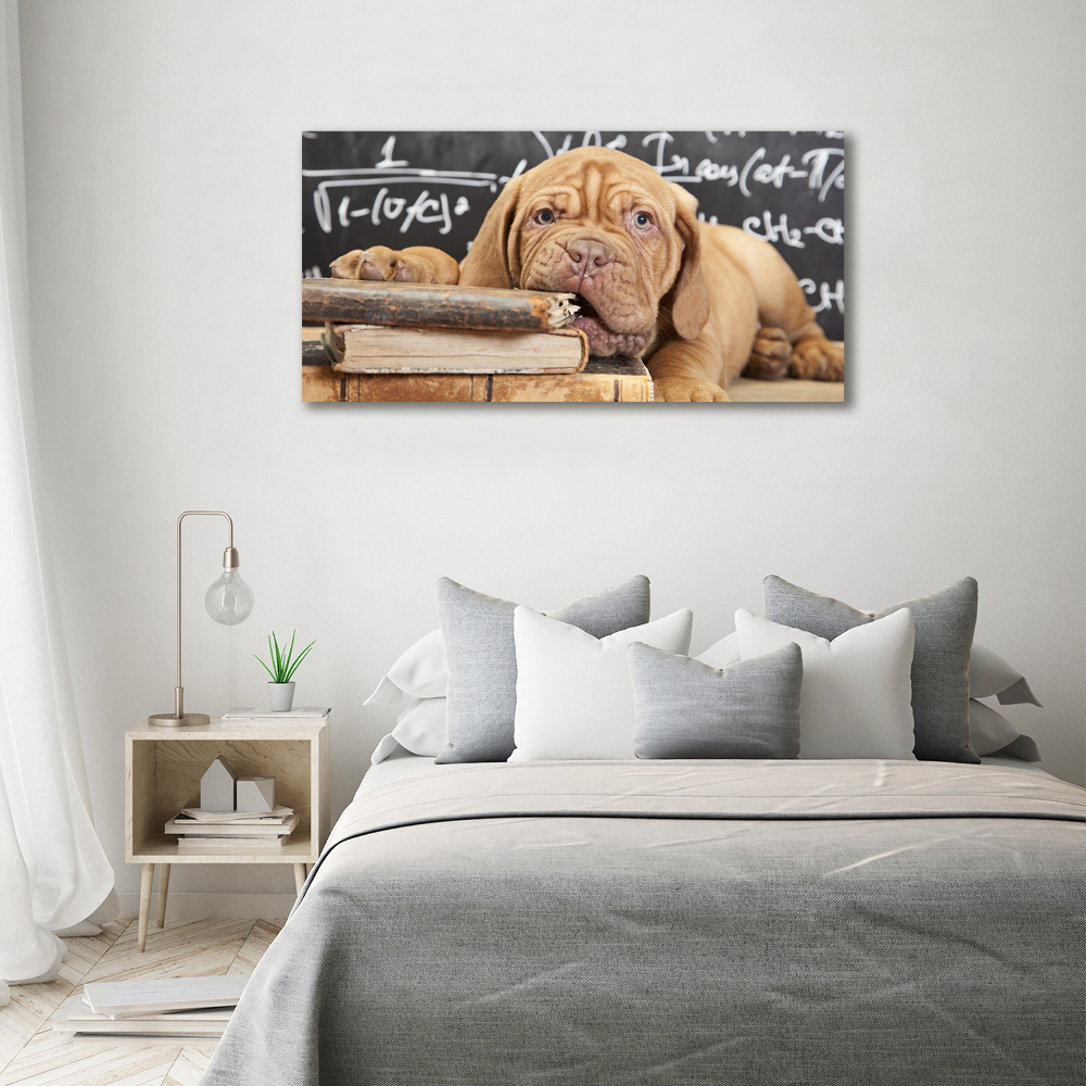 Tableau sur toile Livre sur les morsures de chien