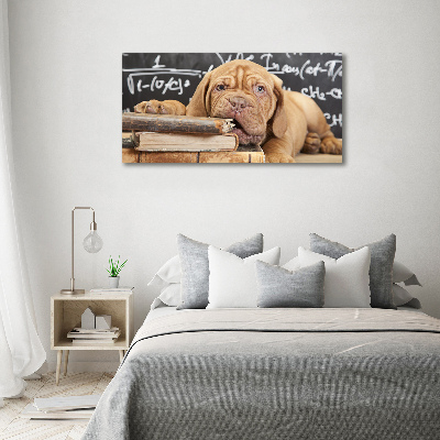 Tableau sur toile Livre sur les morsures de chien