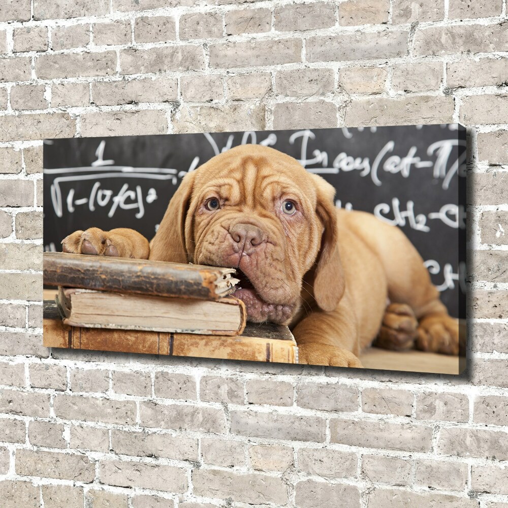 Tableau sur toile Livre sur les morsures de chien