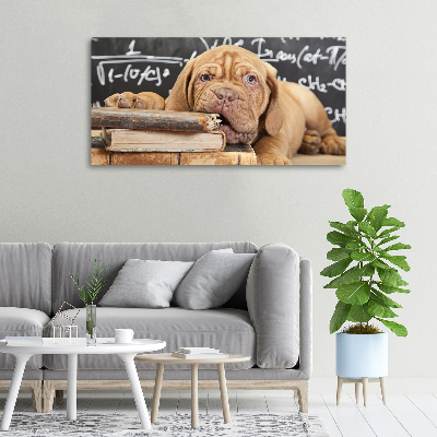 Tableau sur toile Livre sur les morsures de chien