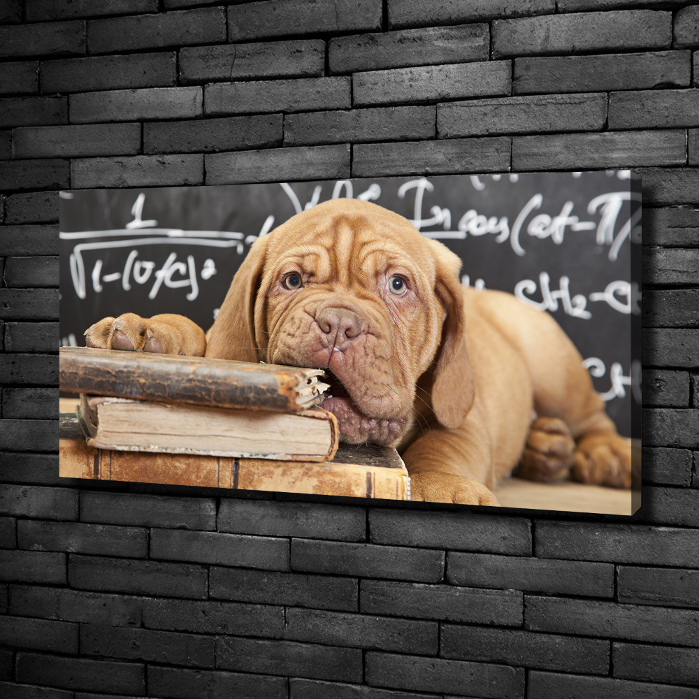 Tableau sur toile Livre sur les morsures de chien