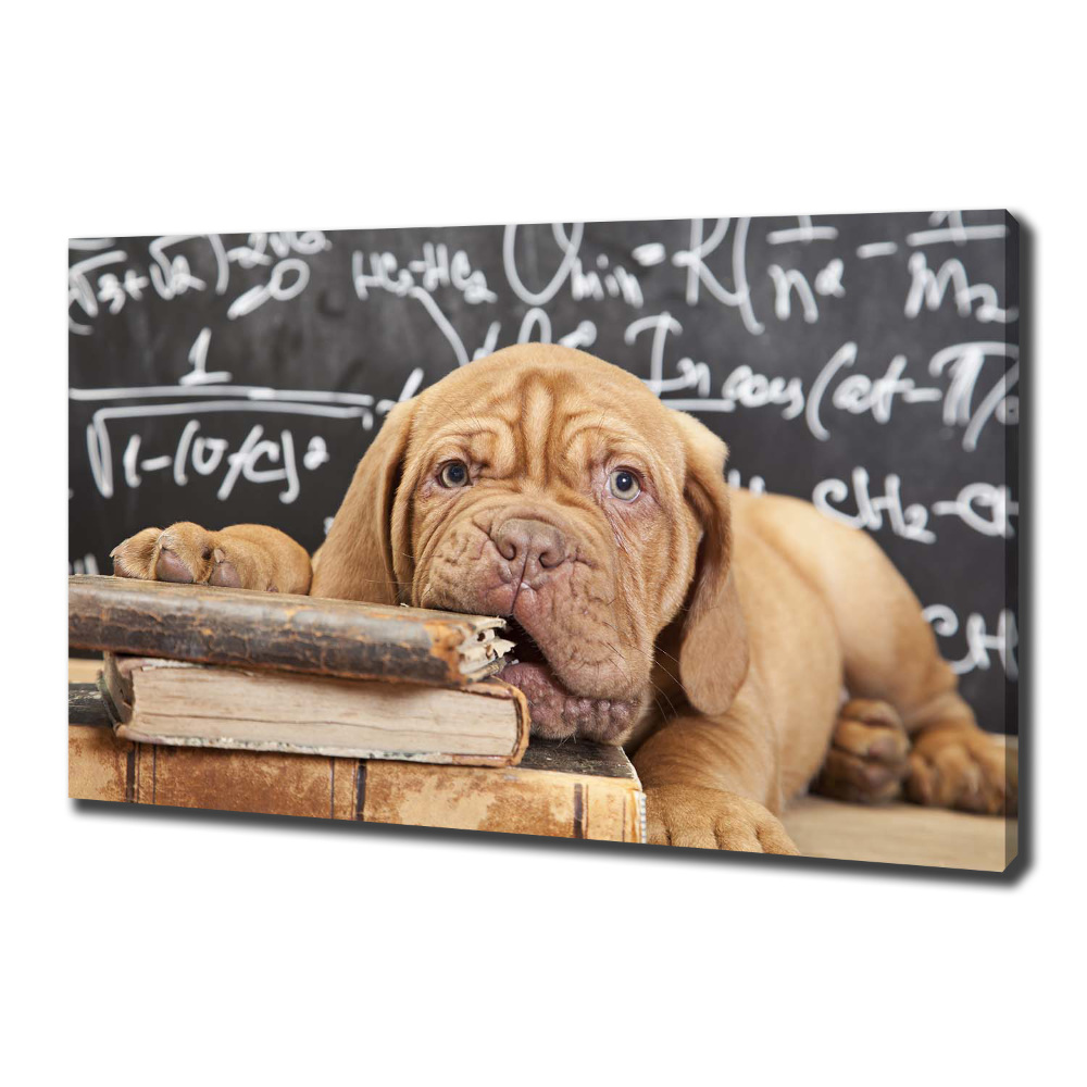 Tableau sur toile Livre sur les morsures de chien