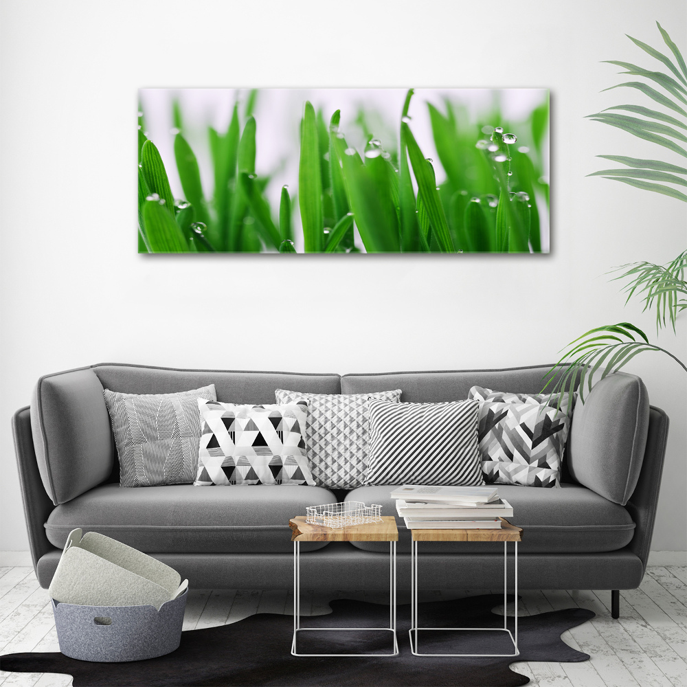 Tableau mural sur toile Tiges d'herbe