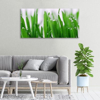 Tableau mural sur toile Tiges d'herbe