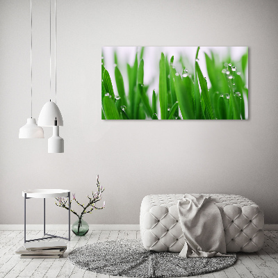 Tableau mural sur toile Tiges d'herbe