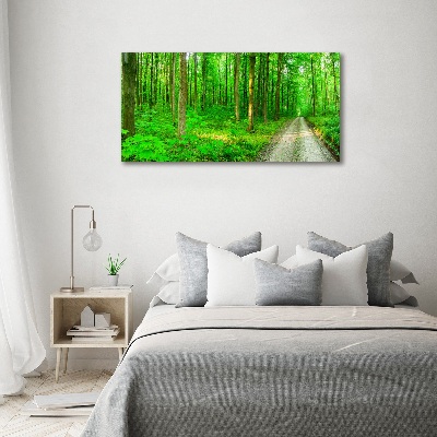 Tableau mural sur toile Arbres dans la forêt