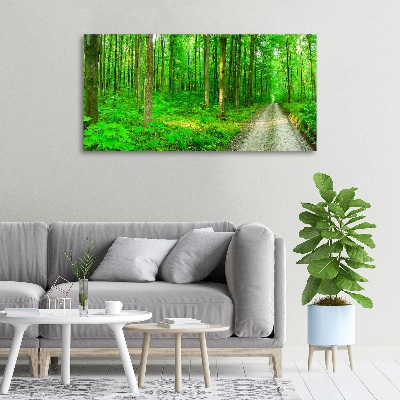 Tableau mural sur toile Arbres dans la forêt