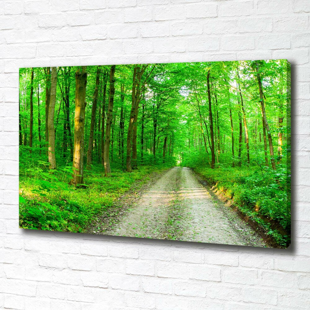 Tableau mural sur toile Arbres dans la forêt