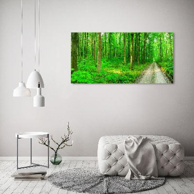 Tableau mural sur toile Arbres dans la forêt