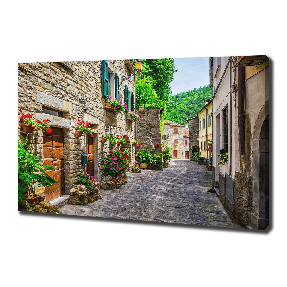 Tableau photo sur toile Ruelle de charme