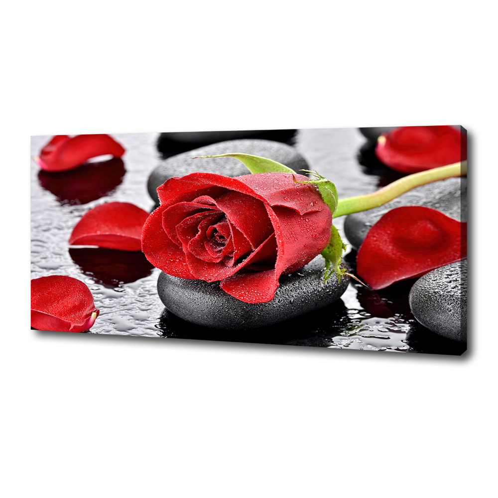 Tableau toile imprimée Rose rouge