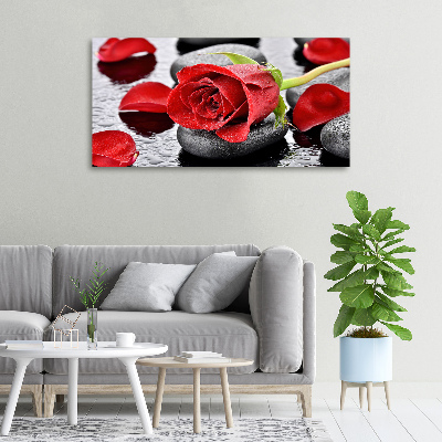 Tableau toile imprimée Rose rouge