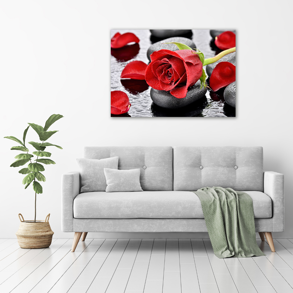 Tableau toile imprimée Rose rouge