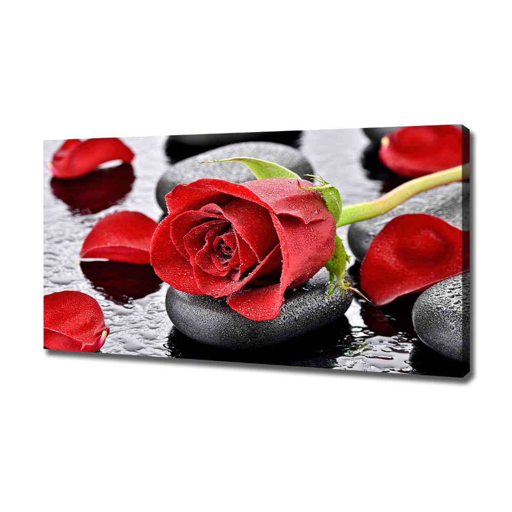 Tableau toile imprimée Rose rouge