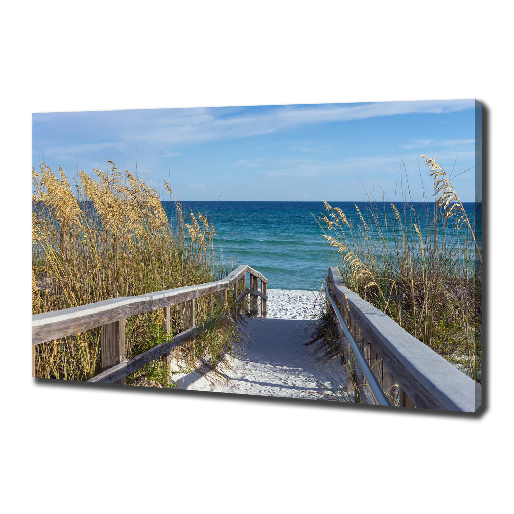 Tableau photo sur toile Dunes de mer