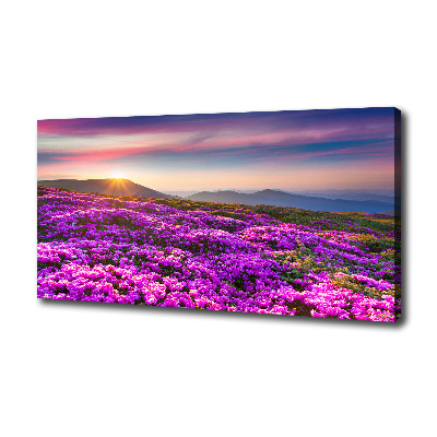 Tableau photo sur toile Fleurs en montagne