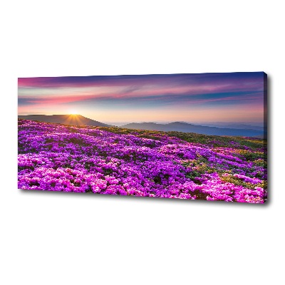 Tableau photo sur toile Fleurs en montagne