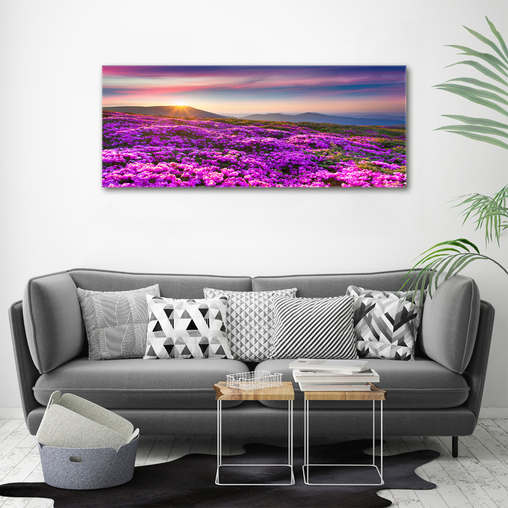 Tableau photo sur toile Fleurs en montagne