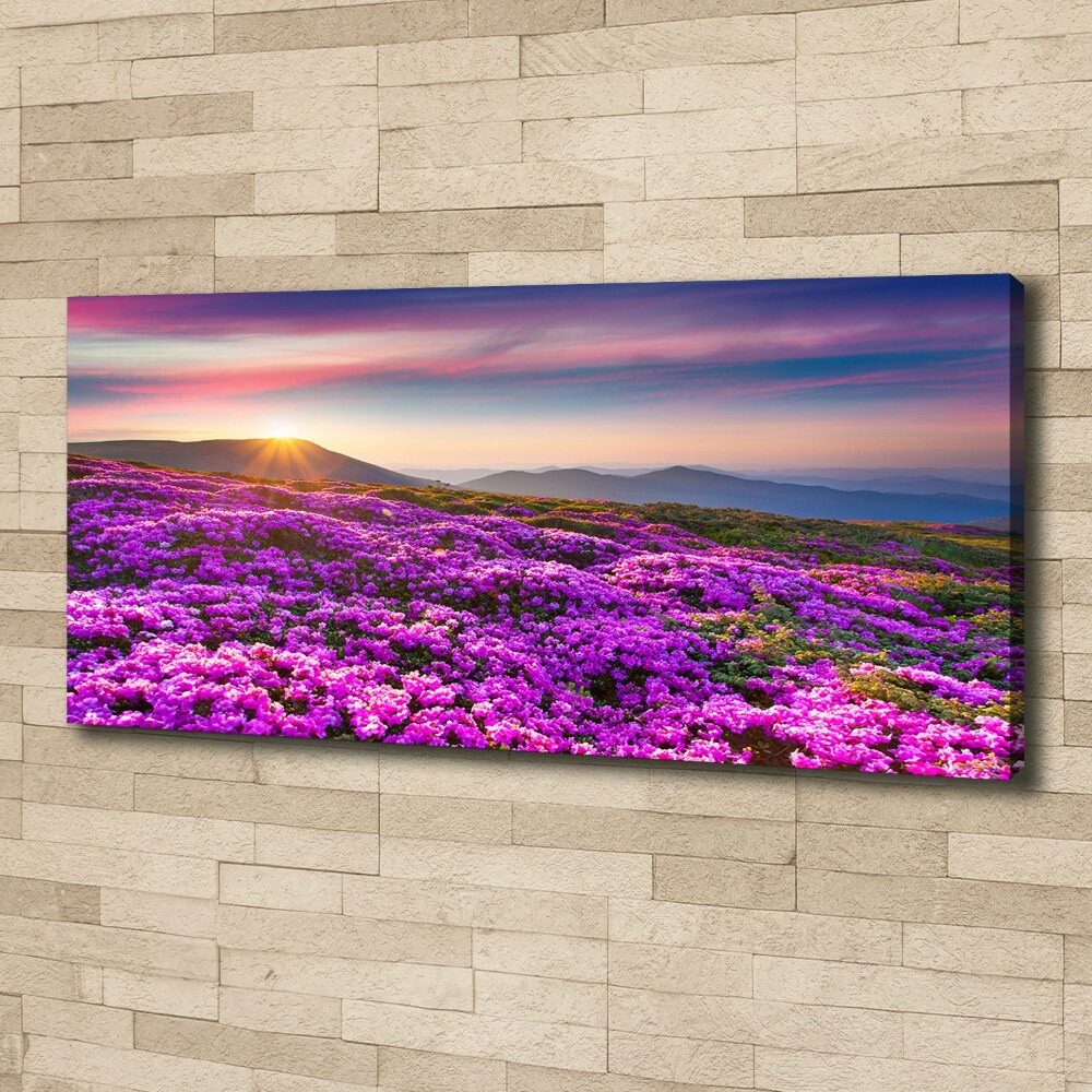 Tableau photo sur toile Fleurs en montagne