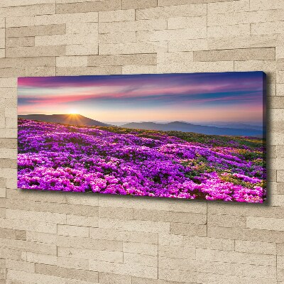 Tableau photo sur toile Fleurs en montagne