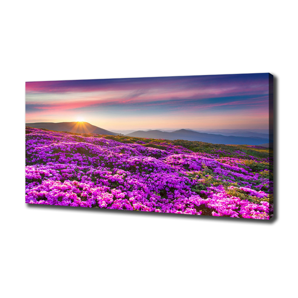 Tableau photo sur toile Fleurs en montagne