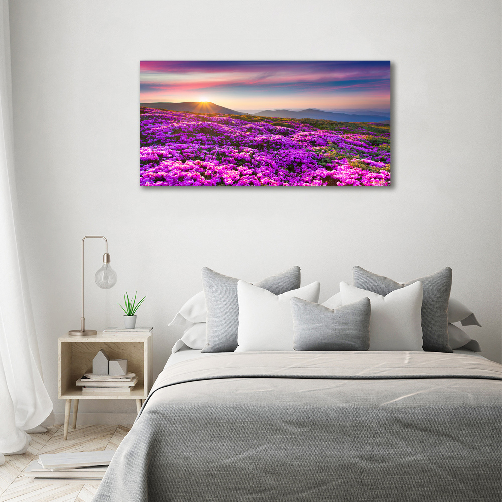 Tableau photo sur toile Fleurs en montagne