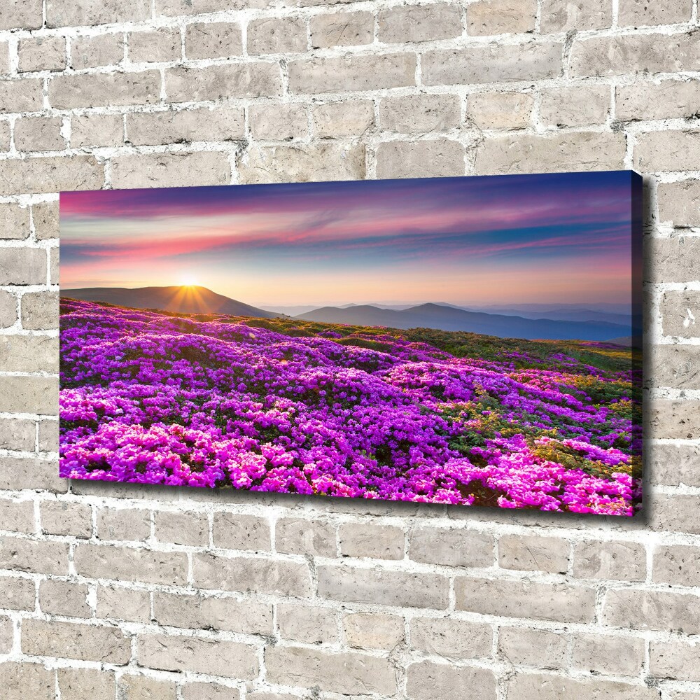 Tableau photo sur toile Fleurs en montagne