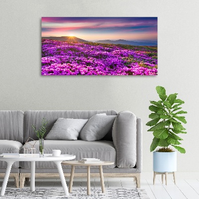 Tableau photo sur toile Fleurs en montagne