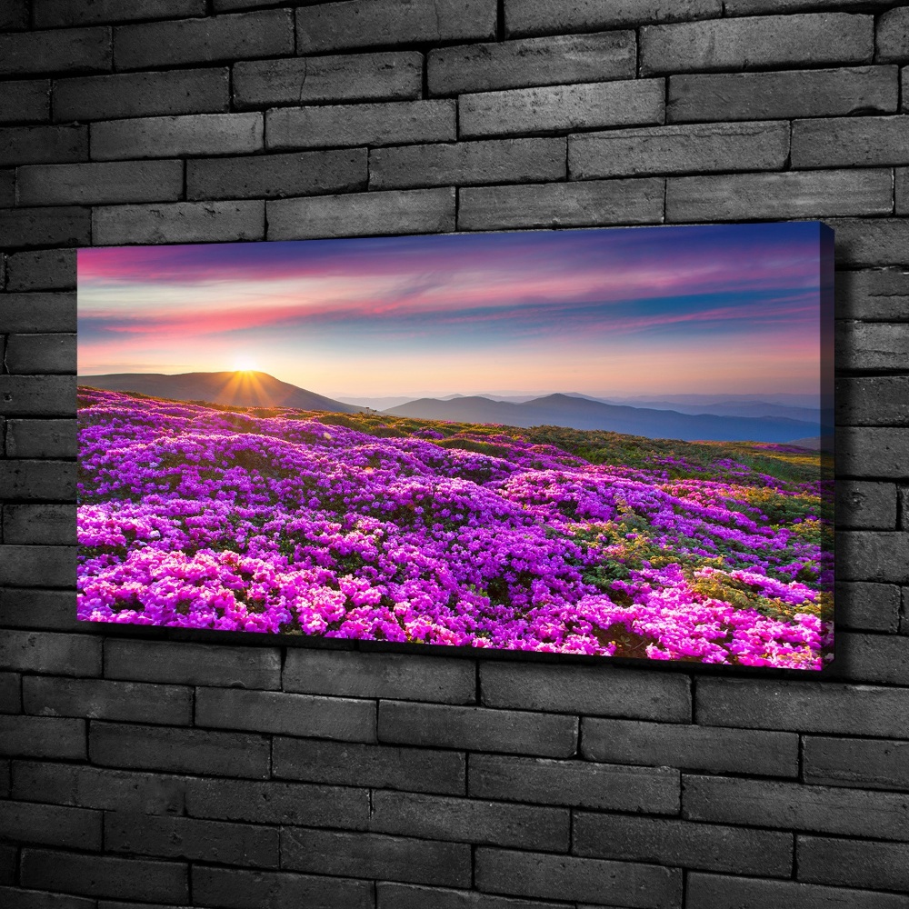 Tableau photo sur toile Fleurs en montagne