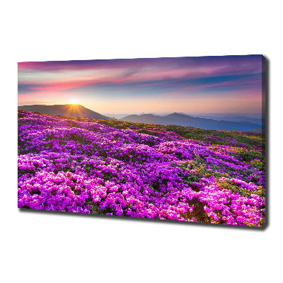 Tableau photo sur toile Fleurs en montagne