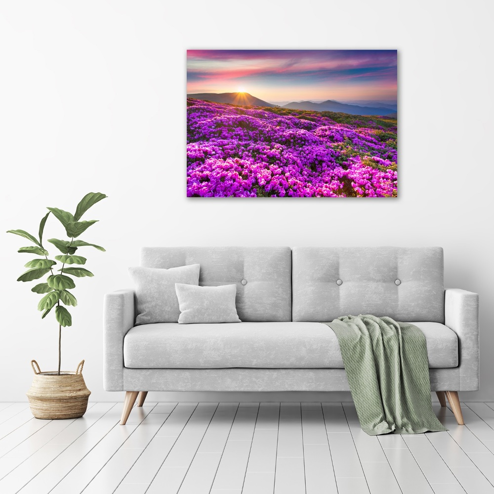 Tableau photo sur toile Fleurs en montagne