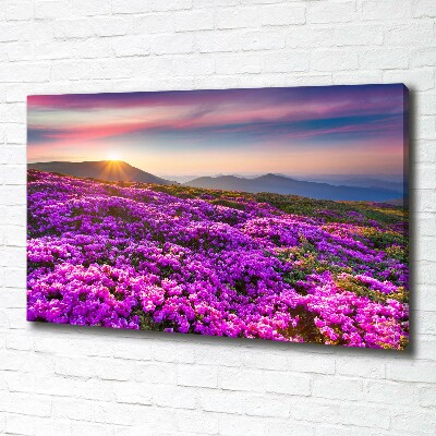 Tableau photo sur toile Fleurs en montagne