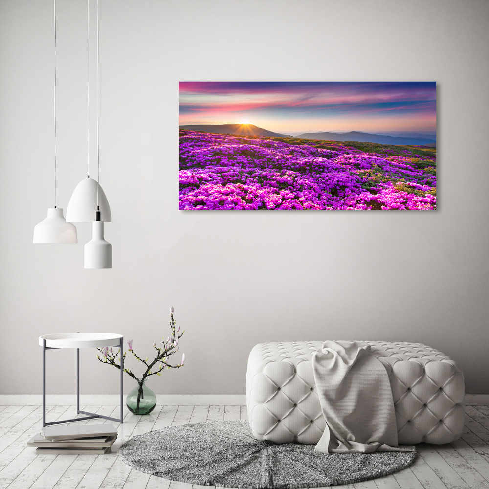 Tableau photo sur toile Fleurs en montagne