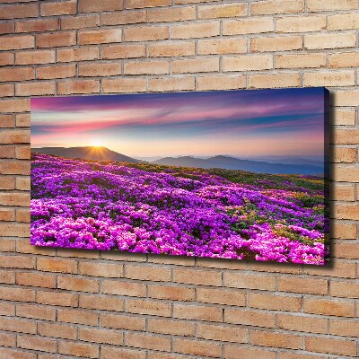 Tableau photo sur toile Fleurs en montagne