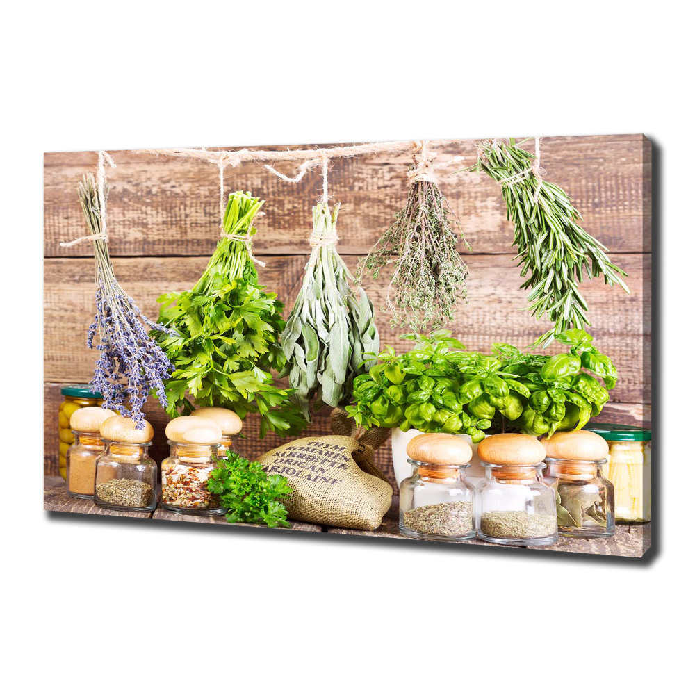 Tableau mural sur toile Herbes sur une ficelle