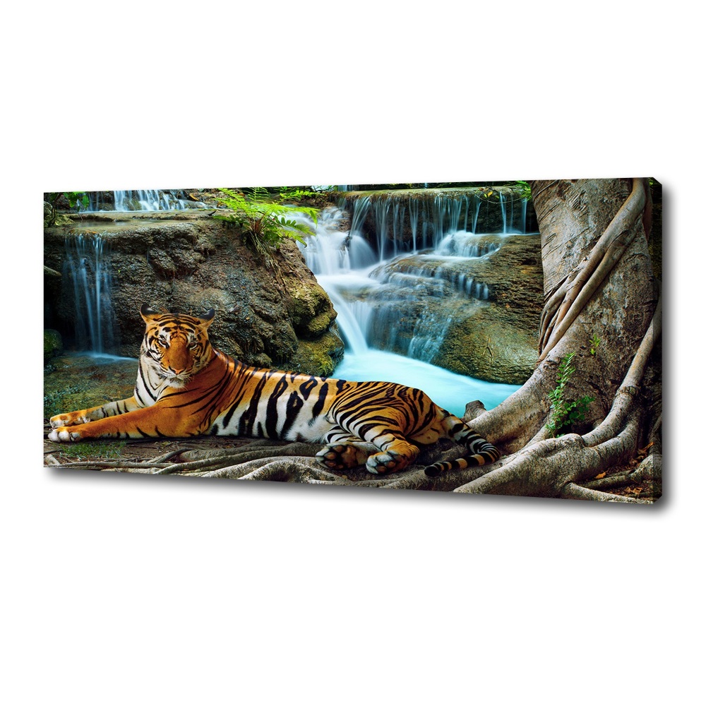 Tableau mural sur toile Tigre dans une cascade