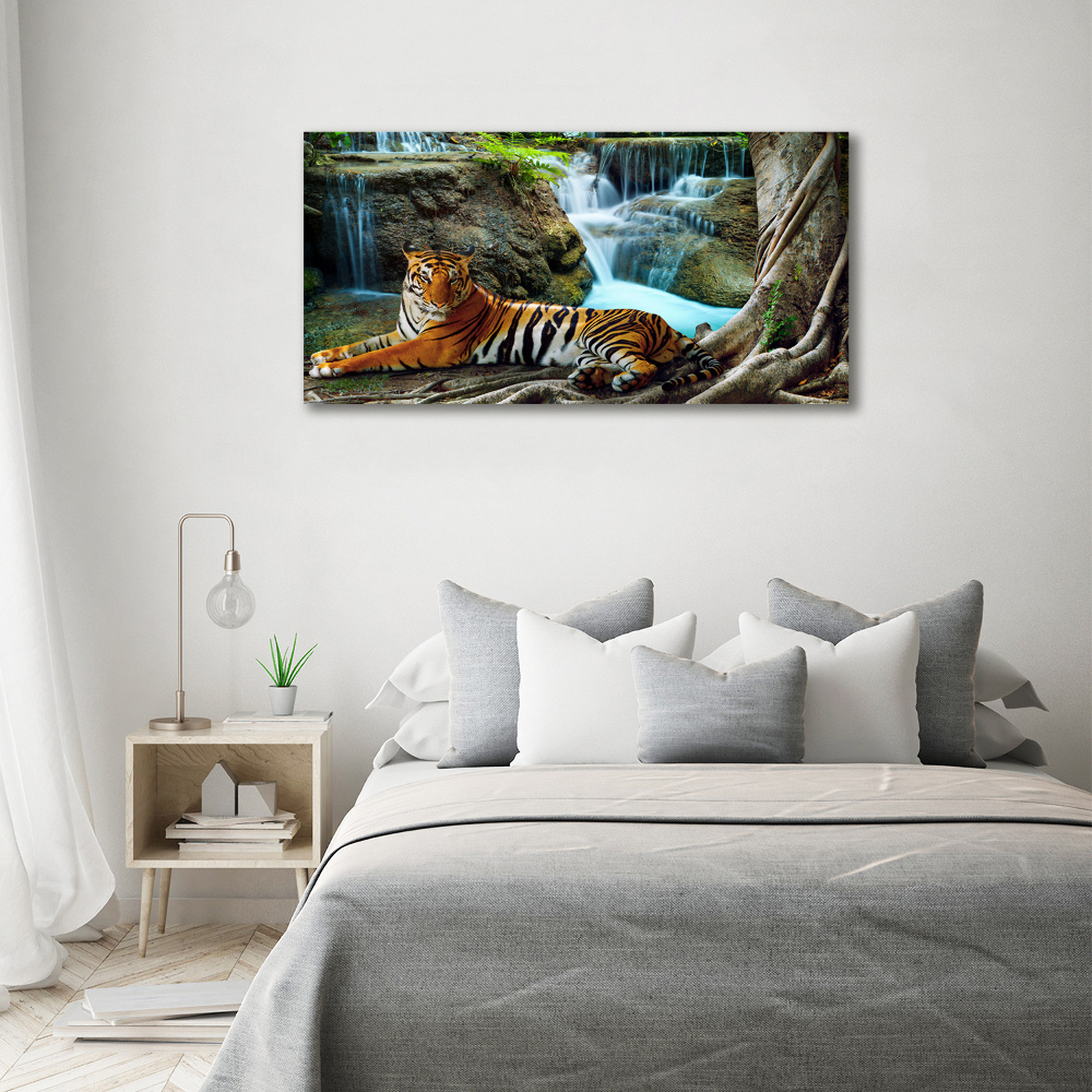 Tableau mural sur toile Tigre dans une cascade