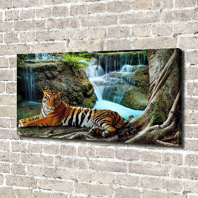 Tableau mural sur toile Tigre dans une cascade