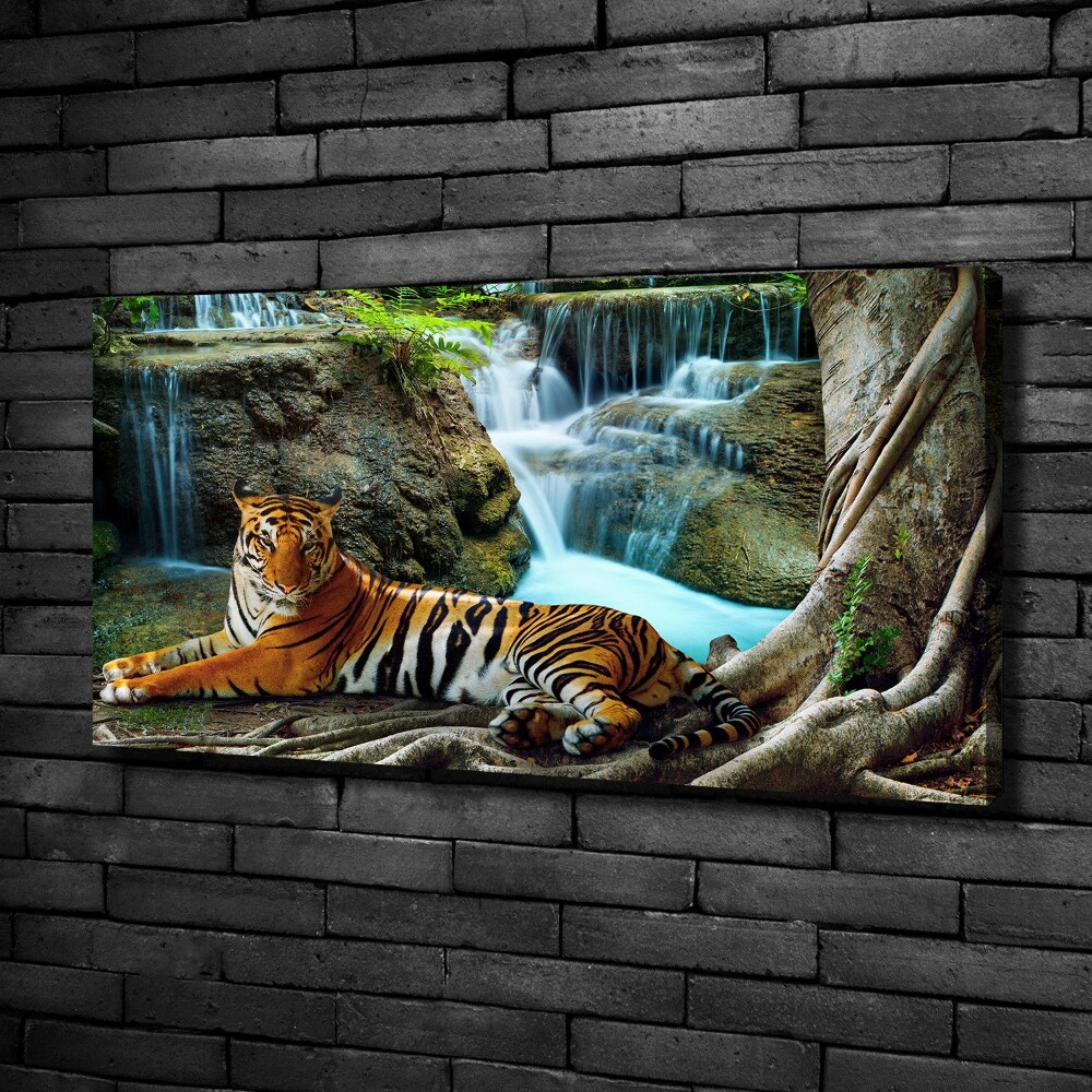 Tableau mural sur toile Tigre dans une cascade