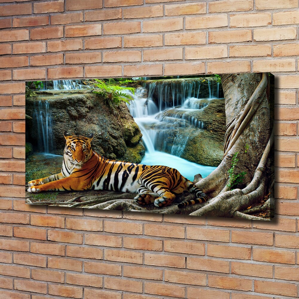 Tableau mural sur toile Tigre dans une cascade