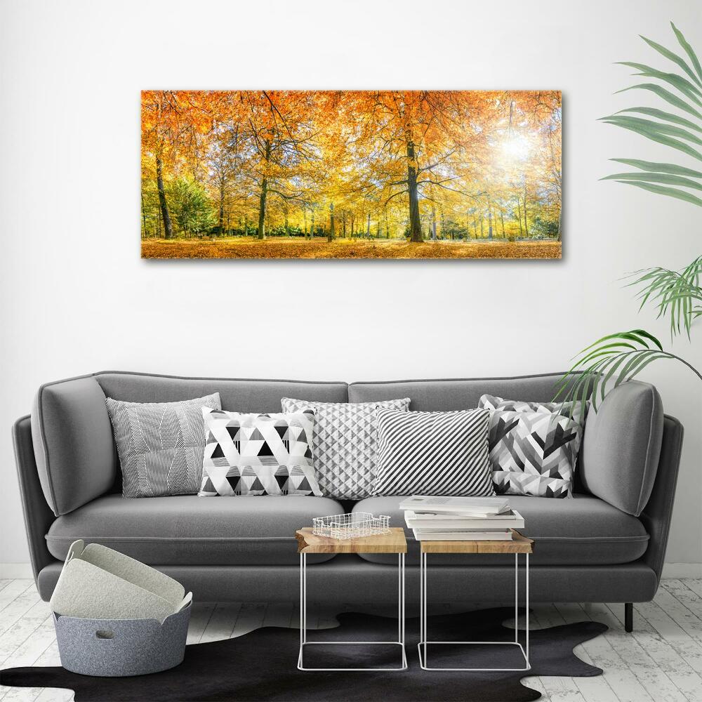 Tableau imprimé sur toile Forêt d'automne