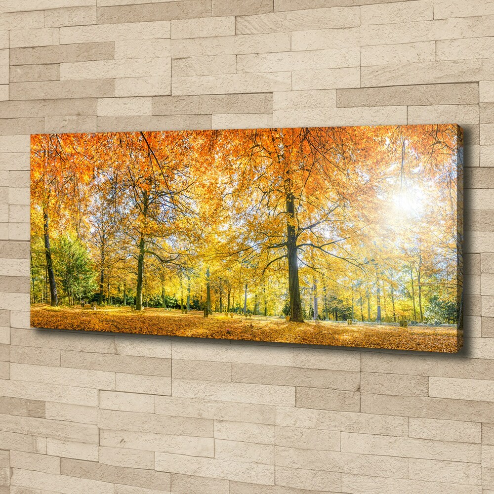 Tableau imprimé sur toile Forêt d'automne