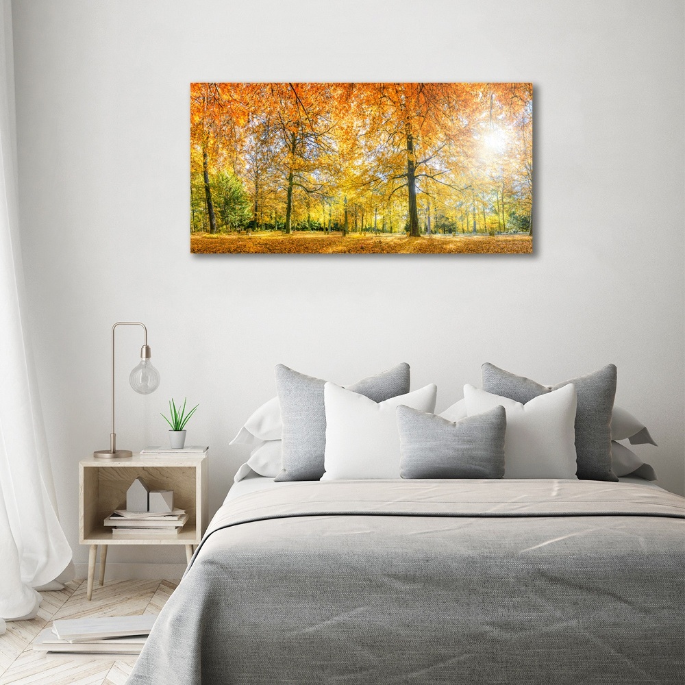 Tableau imprimé sur toile Forêt d'automne